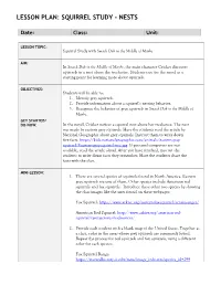 Lesson Plan: Squirrel Study - Nests