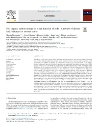 Soil Organic Carbon Storage As a Key Function of Soils