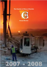 2008 Annual Review