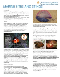 Marine Bites and Stings