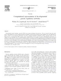 Computational Representation of Developmental Genetic Regulatory Networks