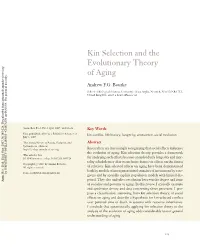 Kin Selection and the Evolutionary Theory of Aging