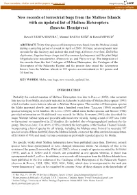 New Records of Terrestrial Bugs from the Maltese Islands with an Updated List of Maltese Heteroptera (Insecta: Hemiptera)