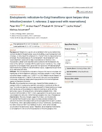 Endoplasmic Reticulum-To-Golgi Transitions Upon Herpes Virus Infection [Version 1; Referees: 2 Approved with Reservations] Peter Wild 1,2, Andres Kaech3, Elisabeth M