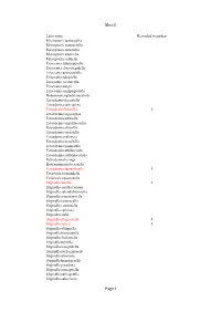 Garden Moth Life List