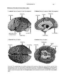 1. Lateral View of Lobes in Left Hemisphere TOPOGRAPHY