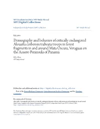 Demography and Behavior of Critically Endangered Alouatta Coibensis