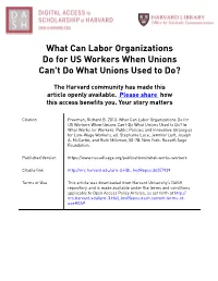 FINAL-MS What Can Labor Orgs Do for US Workers When They Cant Do