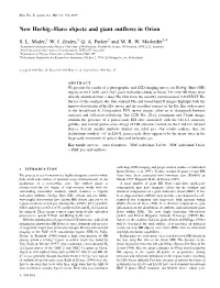 New Herbig±Haro Objects and Giant Outflows in Orion