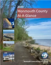 2019 Monmouth County at a Glance Report