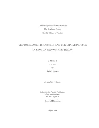 Vector Meson Production and the Dipole Picture in Photon-Hadron Scattering