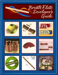Breath Flute Developer's Guide