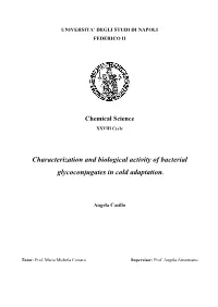 Characterization and Biological Activity of Bacterial Glycoconjugates in Cold Adaptation