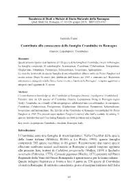 Contributo Alla Conoscenza Della Famiglia Crambidae in Romagna (Insecta: Lepidoptera: Crambidae)