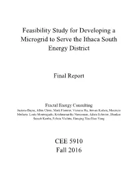Feasibility Study for Developing a Microgrid to Serve the Ithaca South