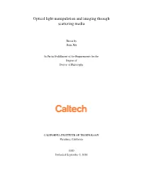 Optical Light Manipulation and Imaging Through Scattering Media
