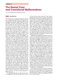 The Neural Crest and Craniofacial Malformations