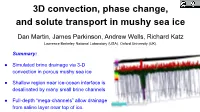 3D Convection, Phase Change, and Solute Transport in Mushy Sea Ice