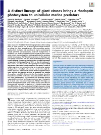 A Distinct Lineage of Giant Viruses Brings a Rhodopsin Photosystem to Unicellular Marine Predators