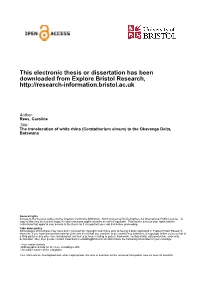 Final Copy 2019 01 23 Rees C Phd
