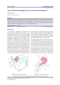 Lacrimal Gland Pathologies from an Anatomical Perspective