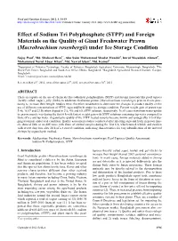 Effect of Sodium Tri Polyphosphate (STPP) and Foreign Materials on the Quality of Giant Freshwater Prawn (Macrobrachium Rosenbergii) Under Ice Storage Condition
