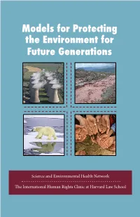 Models for Protecting the Environment for Future Generations