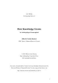 A Resting Place: Notes on Optimism and Shadows