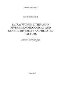 Morphological and Genetic Diversity and Related Factors