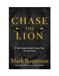 Chase the Lion