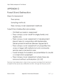 Forest Stand Delineation