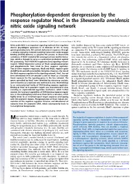 Phosphorylation-Dependent Derepression by the Response Regulator Hnoc in the Shewanella Oneidensis Nitric Oxide Signaling Network