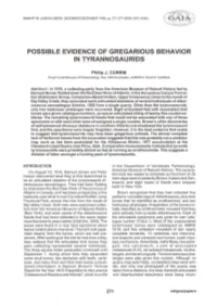 Possible Evidence of Gregarious Behavior in Tyrannosaurids