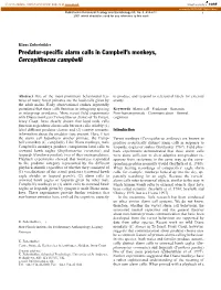 Predator-Specific Alarm Calls in Campbell's Monkeys, Cercopithecus Campbelli
