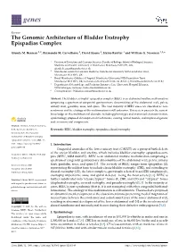 The Genomic Architecture of Bladder Exstrophy Epispadias Complex
