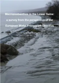 Macrozoobenthos in the Lower Seine: a Survey from the Perspective of The