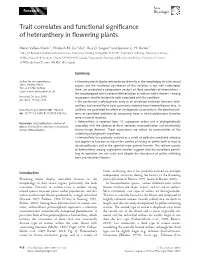 Trait Correlates and Functional Significance of Heteranthery In