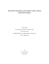 Plenoptic Imaging and Vision Using Angle Sensitive Pixels