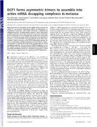 DCP1 Forms Asymmetric Trimers to Assemble Into Active Mrna Decapping Complexes in Metazoa