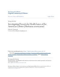 Homarus Americanus) Deborah A