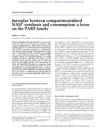 Interplay Between Compartmentalized NAD+ Synthesis and Consumption: a Focus on the PARP Family