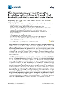 Meta-Transcriptomic Analysis of Rnaseq Data Reveals Pacu and Loach Fish with Unusually High Levels of Myoglobin Expression in Skeletal Muscles