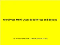 Wordpress Multi-User: Buddypress and Beyond