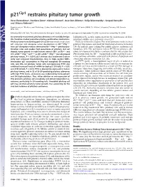 P21 Restrains Pituitary Tumor Growth
