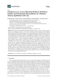 Staphylococcus Aureus Infection Reduces Nutrition Uptake and Nucleotide Biosynthesis in a Human Airway Epithelial Cell Line