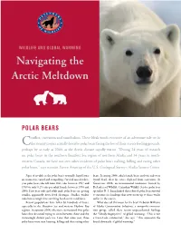 Navigating the Arctic Meltdown
