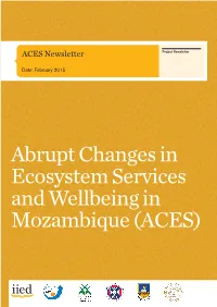 ACES Newsletter Project Newsletter