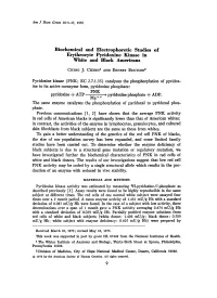 Biochemical and Electrophoretic Studies of Erythrocyte Pyridoxine Kinase in White and Black Americans