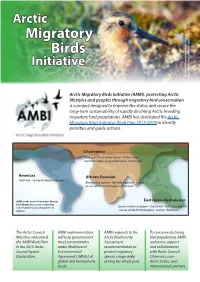Migratory Birds Initiative Red Knot, a Priority Knot, Red Species for AMBI 2015-2019