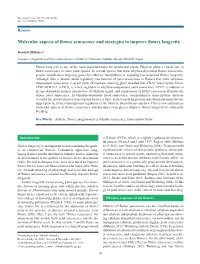 Molecular Aspects of Flower Senescence and Strategies to Improve Flower Longevity